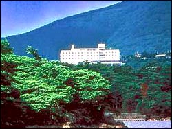 Palace Hotel Hakone