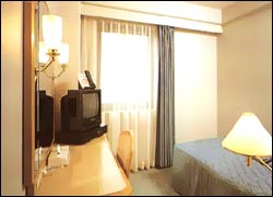 The Matsumoto Tokyu Inn