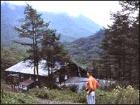 Ryuzu Gorge Koryu Forest 